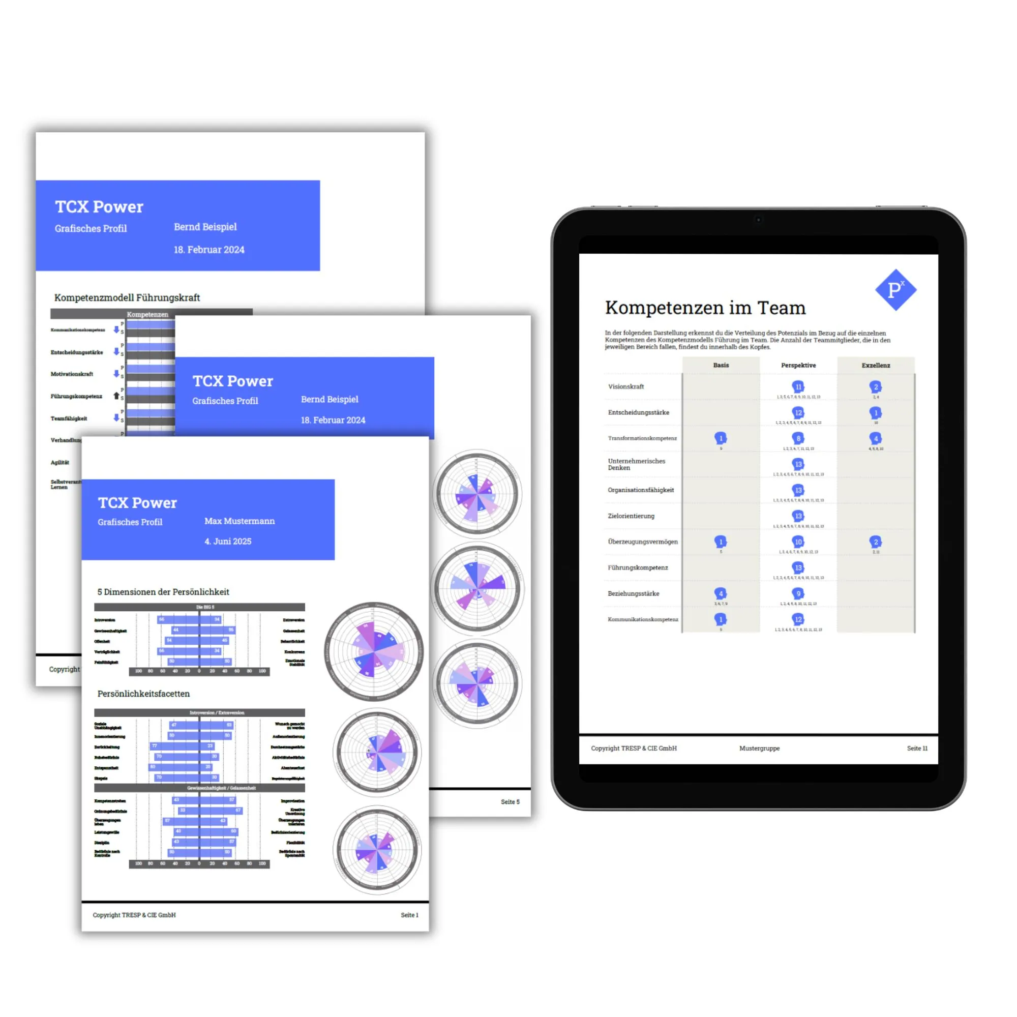 TCX Power Management Summary TCX Power Gruppe